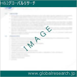 グローバルリサーチ調査レポートのイメージ